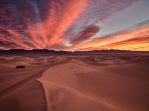 Hollis-Nolan-Death-Valley-Dune