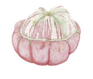 Pointillism-Squash_Tamura-Price