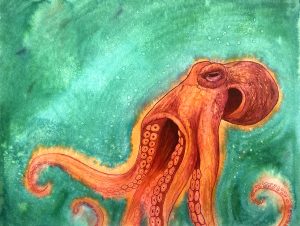 orange-octopus-1-sm